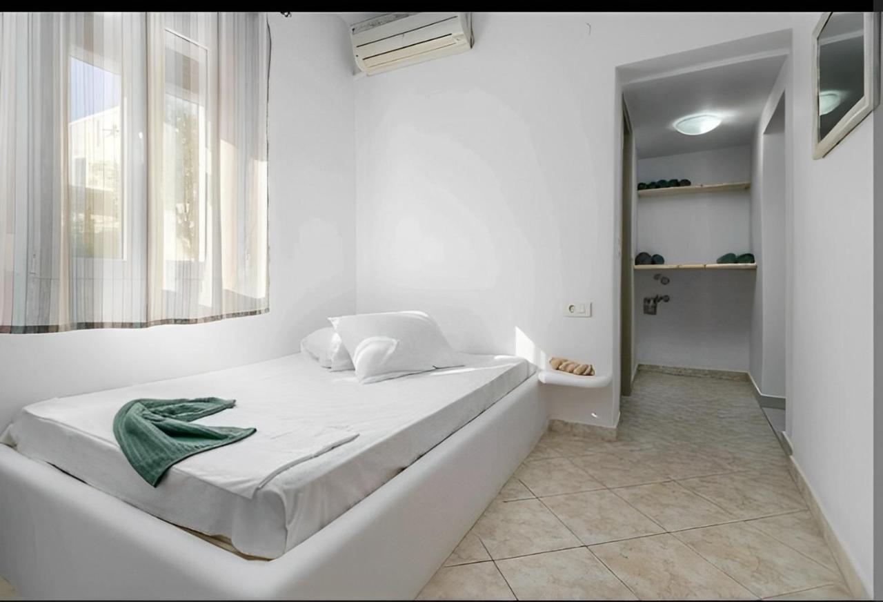 Cozy Andree * Pachaina